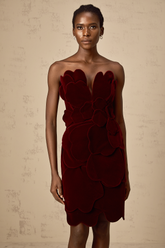 Maïwenn Velvet Floral Appliqué Mini Dress — Red