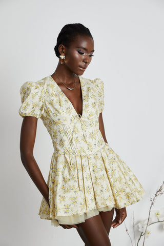 Floral-Print Pleated Mini Dress by Liane
