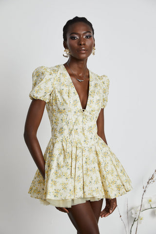 Floral-Print Pleated Mini Dress by Liane