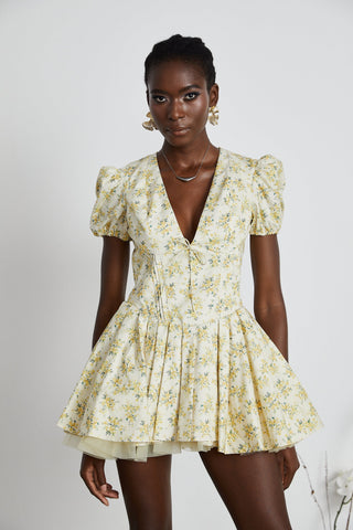 Floral-Print Pleated Mini Dress by Liane