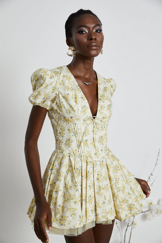 Floral-Print Pleated Mini Dress by Liane