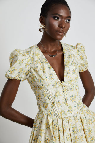 Floral-Print Pleated Mini Dress by Liane