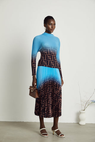 Désirée Color-Block Pleated Top and Skirt Set — Blue & Brown