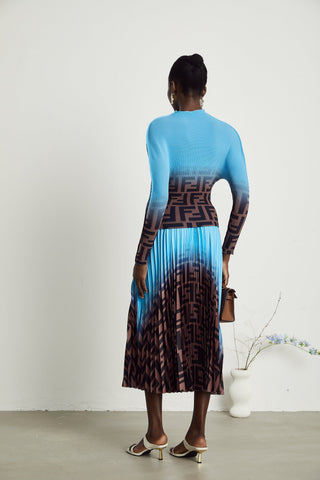 Désirée Color-Block Pleated Top and Skirt Set — Blue & Brown