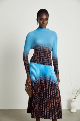 Désirée Color-Block Pleated Top and Skirt Set — Blue & Brown