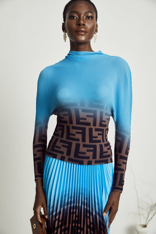 Désirée Color-Block Pleated Top and Skirt Set — Blue & Brown