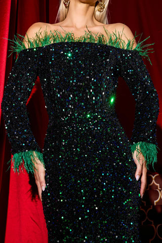 Athena Velvet Sequin & Feather Maxi Dress