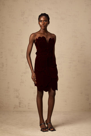 Maïwenn Velvet Floral Appliqué Mini Dress — Red
