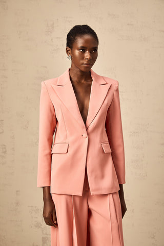 Zoé Embroidered Cut-Out Blazer and Trouser Set — Pink