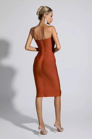 Elianna Feather Bodice Midi Dress — Dark Brown