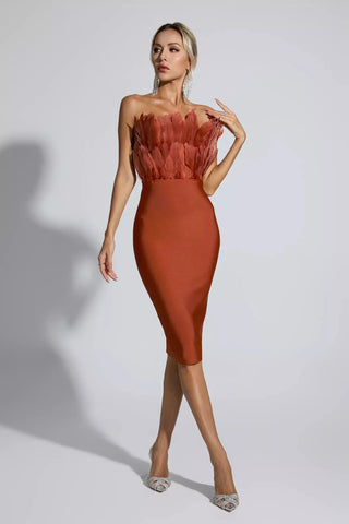 Elianna Feather Bodice Midi Dress — Dark Brown