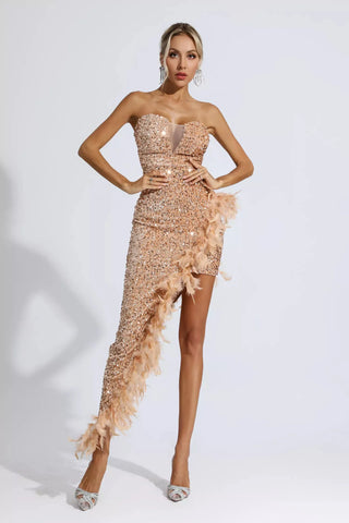 Kira Sequin & Feather Maxi Dress — Champagne